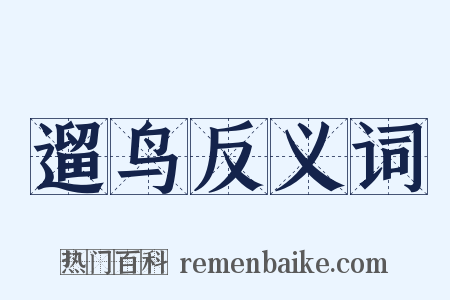 遛鸟反义词是什么意思的图片